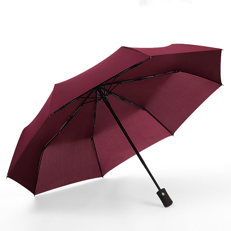 Folding Umbrellas for school going kids