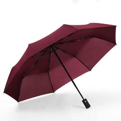 Folding Umbrellas for school going kids